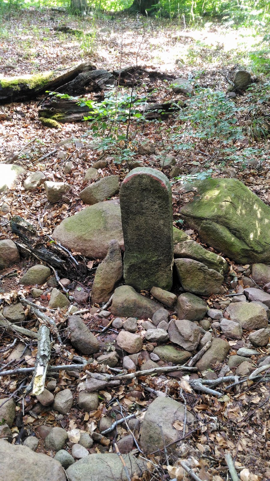 Grenzsteine ​​bei Lesní potok im Erzgebirge.