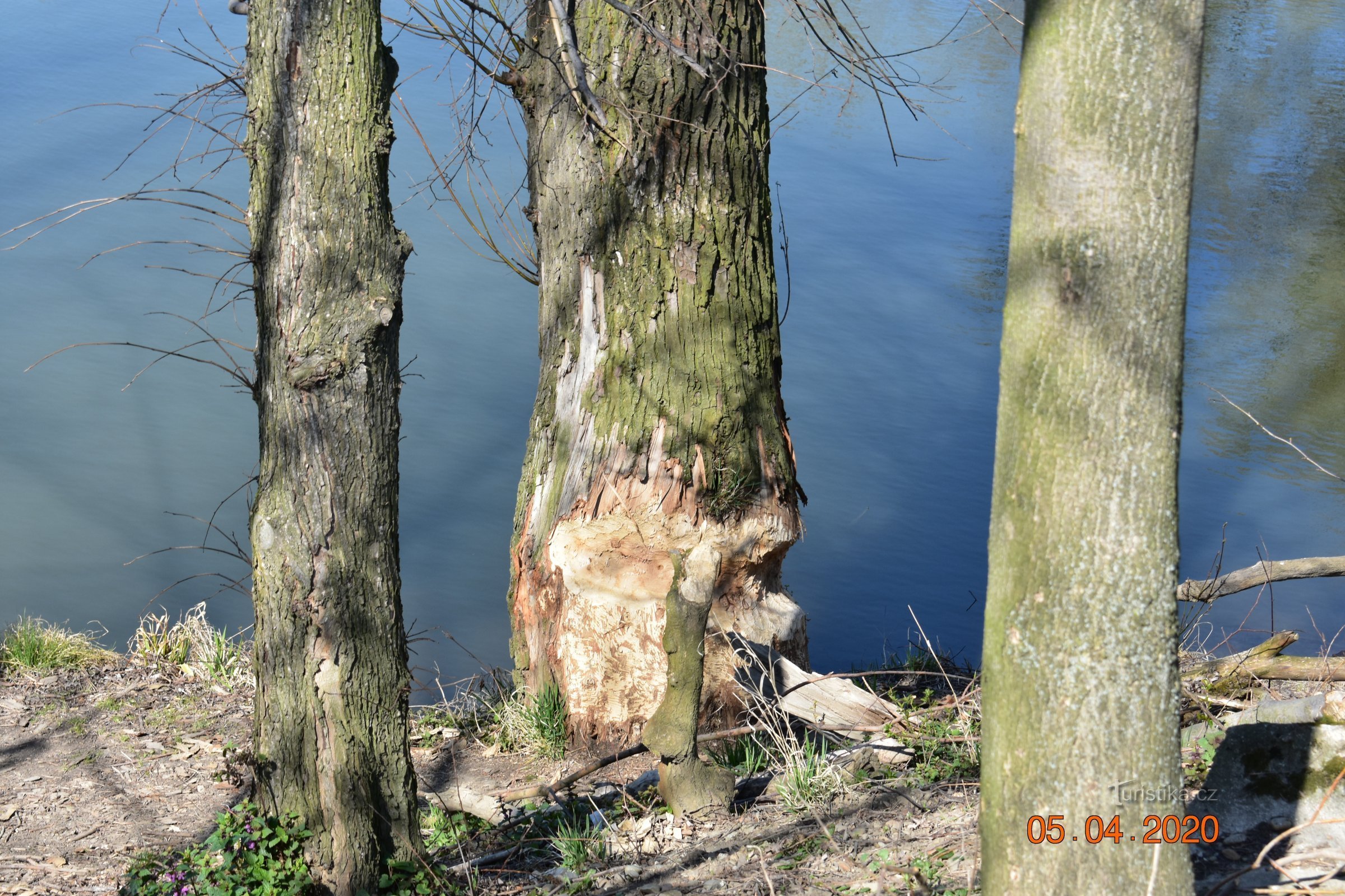 Border meanders of the Odra in the time of the coronavirus