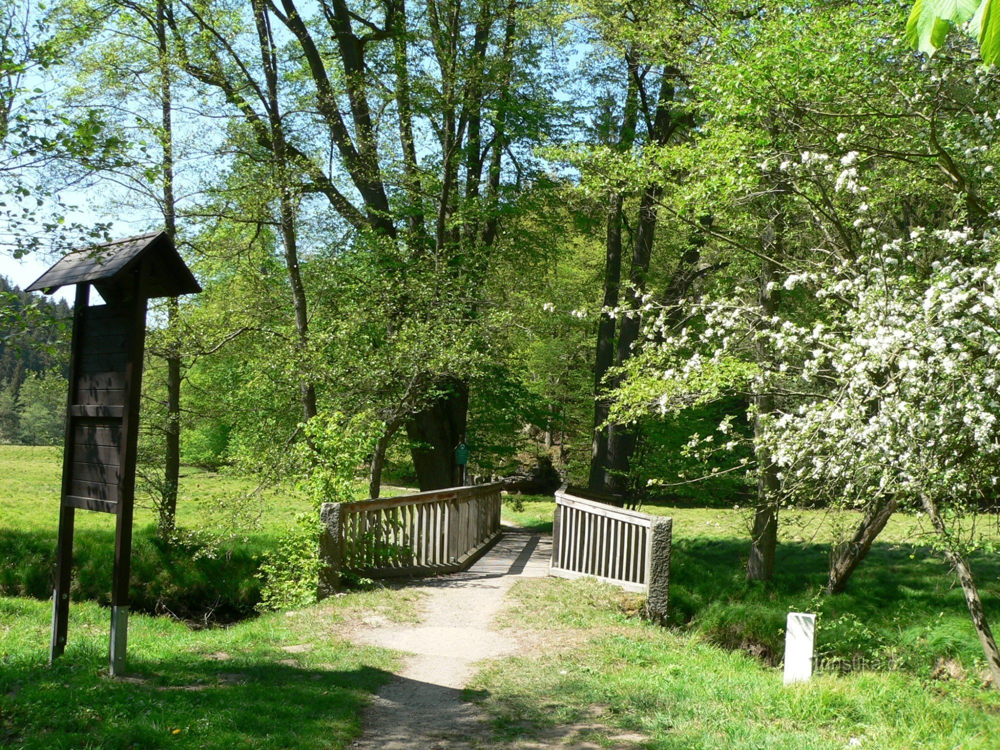 Border bridge