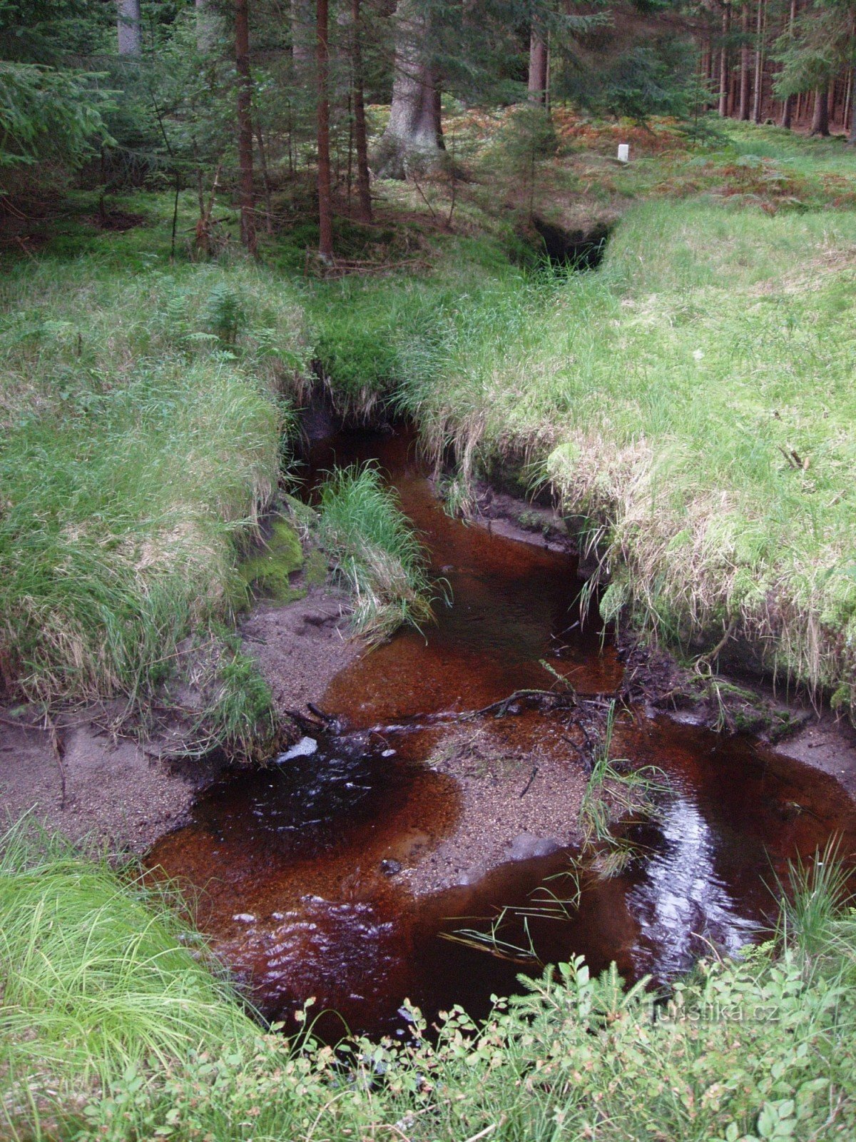 The border stream forms romantic meanders