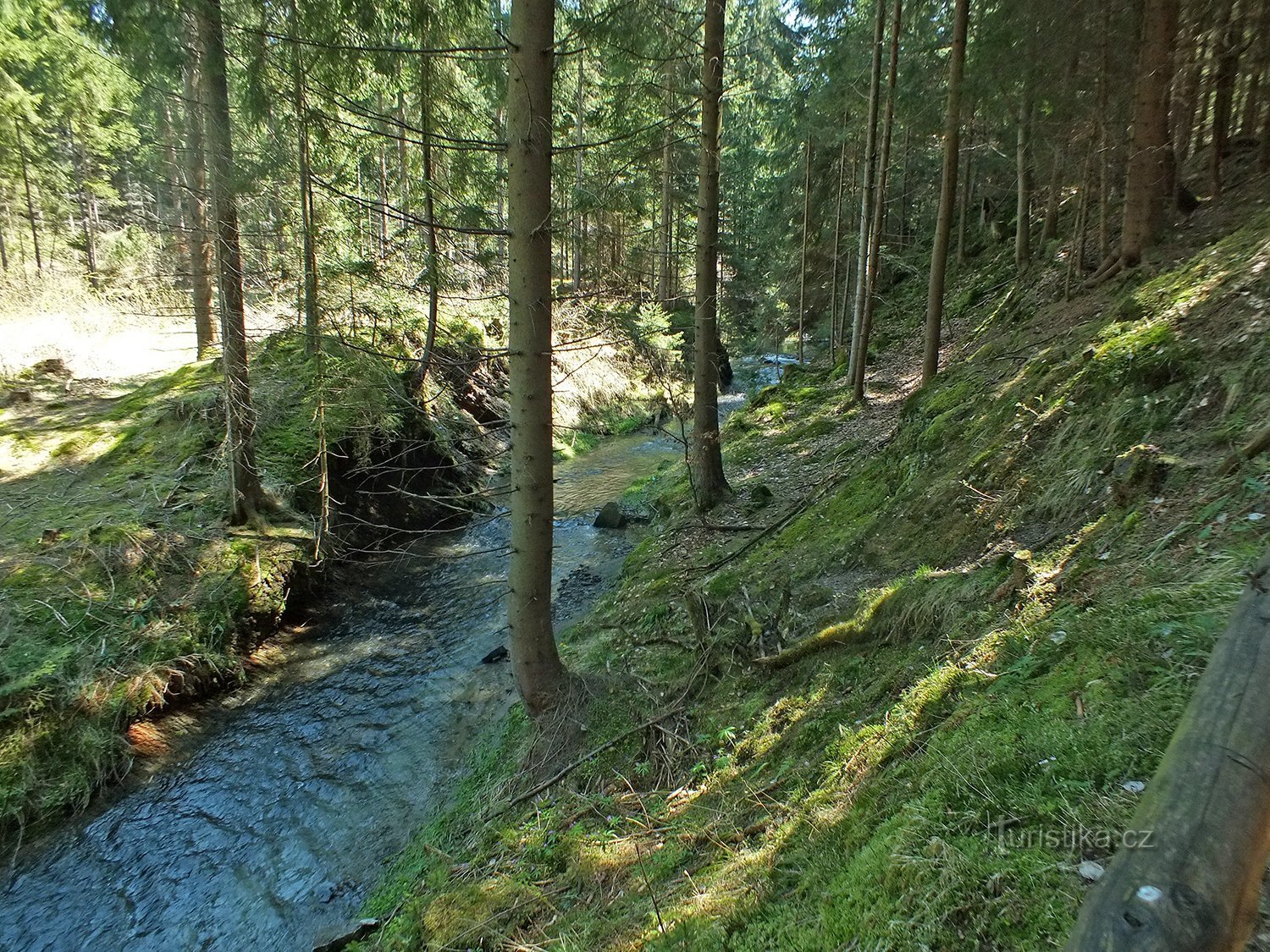 Rivière frontalière Oleška