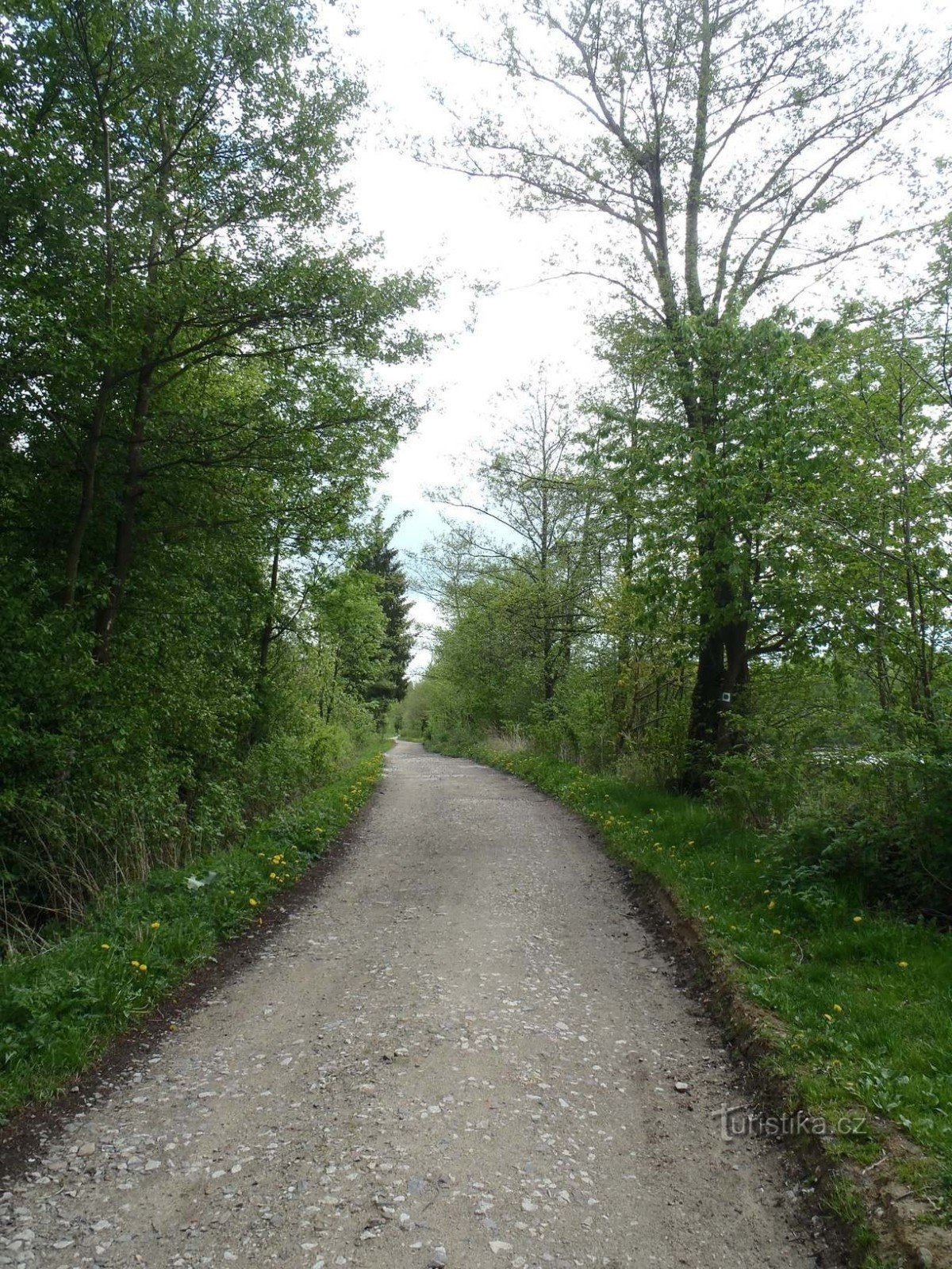 Mère de Loučský rybník - 6.5.2012 mai XNUMX