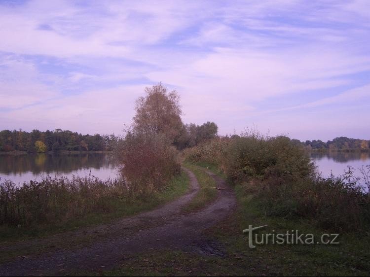 Pato Podlážkan ja Mala Bědný rybníkin välillä (sinisestä merkistä)