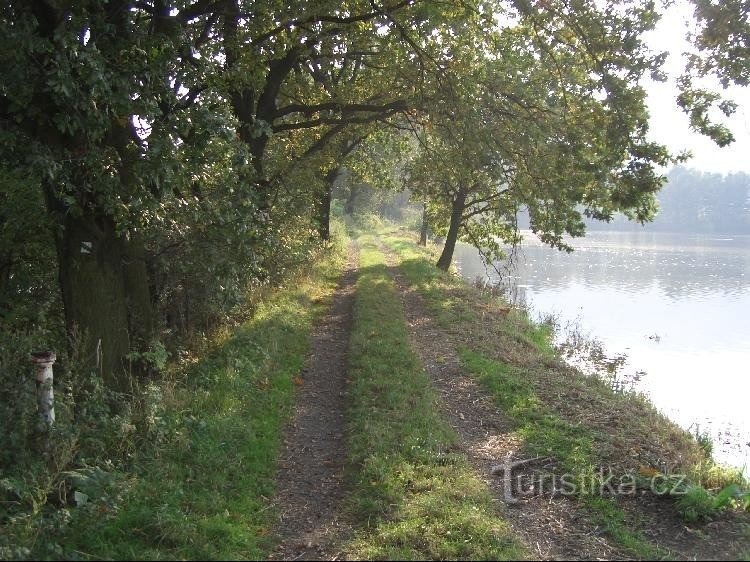 Dam tussen Travný en Trněný rybník