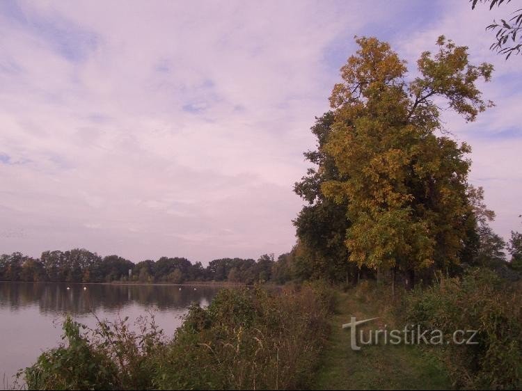 Dam tussen Velký Bědný en Malý Okluka