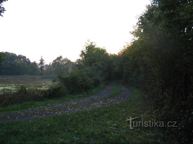 Dam between Zimní and Malý Budní