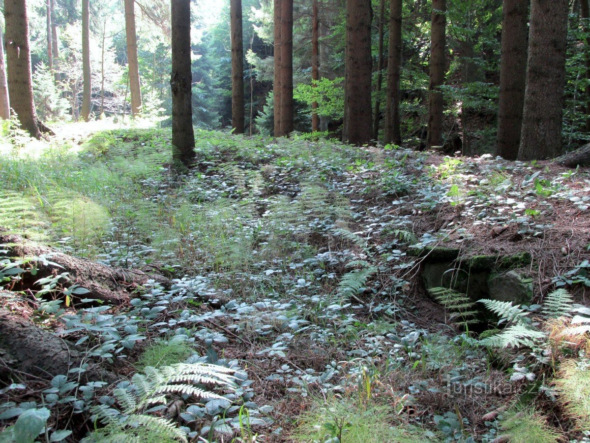 presa de un estanque con los restos de una salida de piedra