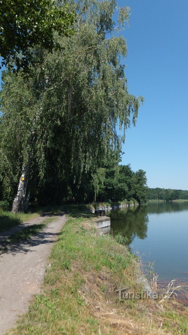presa del estanque Skříň