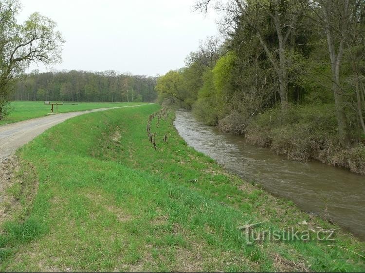 Una diga con pista ciclabile lungo il fiume Morava