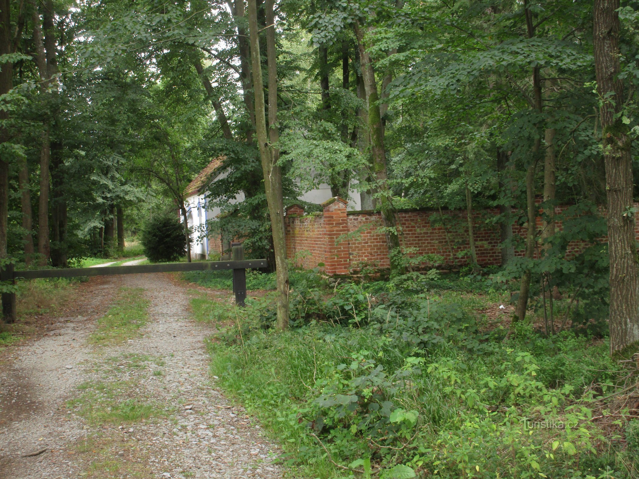 Friedhof - Blick von der Straße