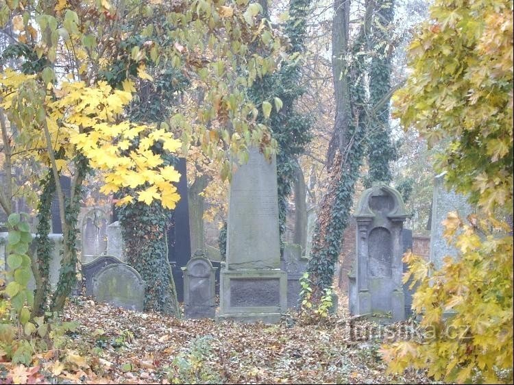 Cimetière dans la forêt : Le cimetière juif d'origine se trouvait dans une forêt appelée Borek