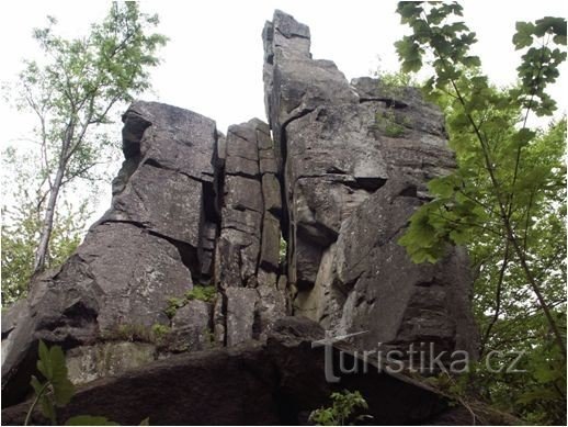 Грболець - Піклштейн