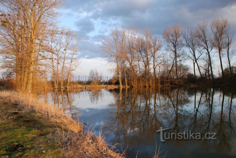 Estanques de Hrdibořické