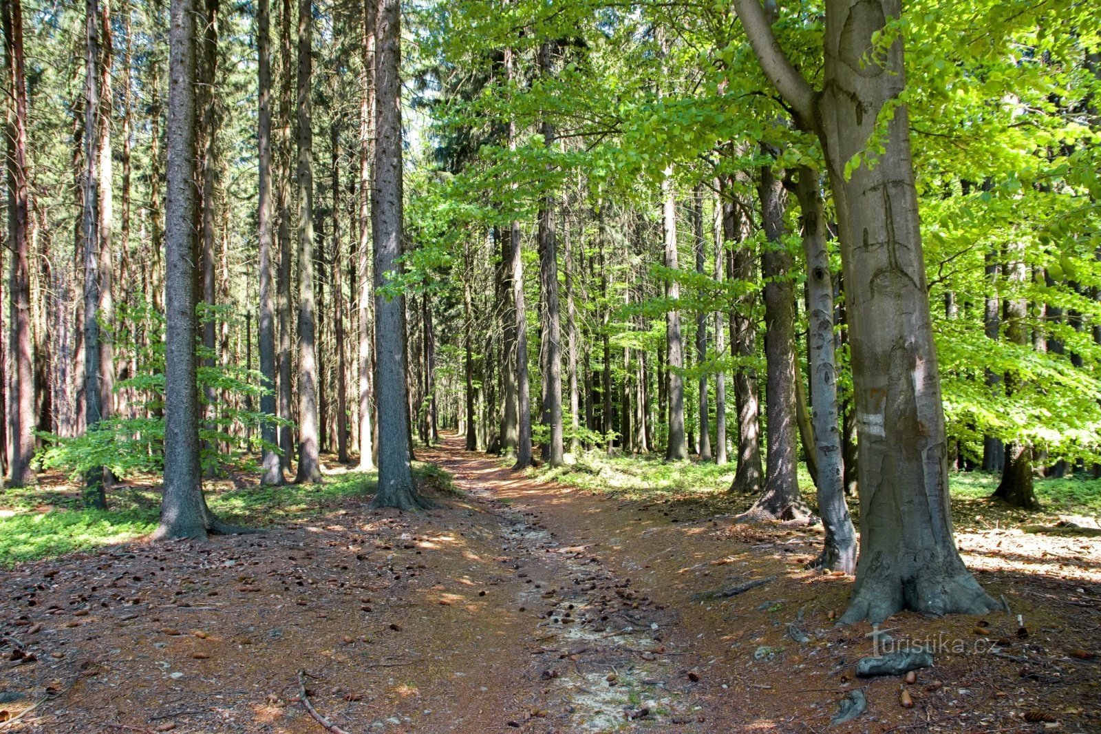 Hrebečské mijnpaden.