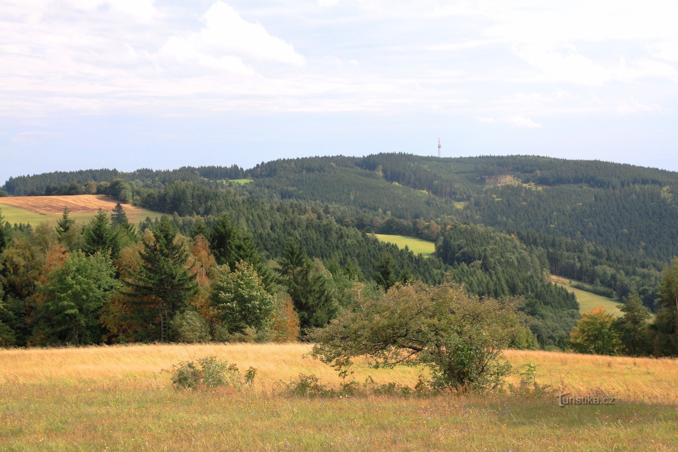 Η κορυφογραμμή του Άνω Δάσους από το Kočí kopce