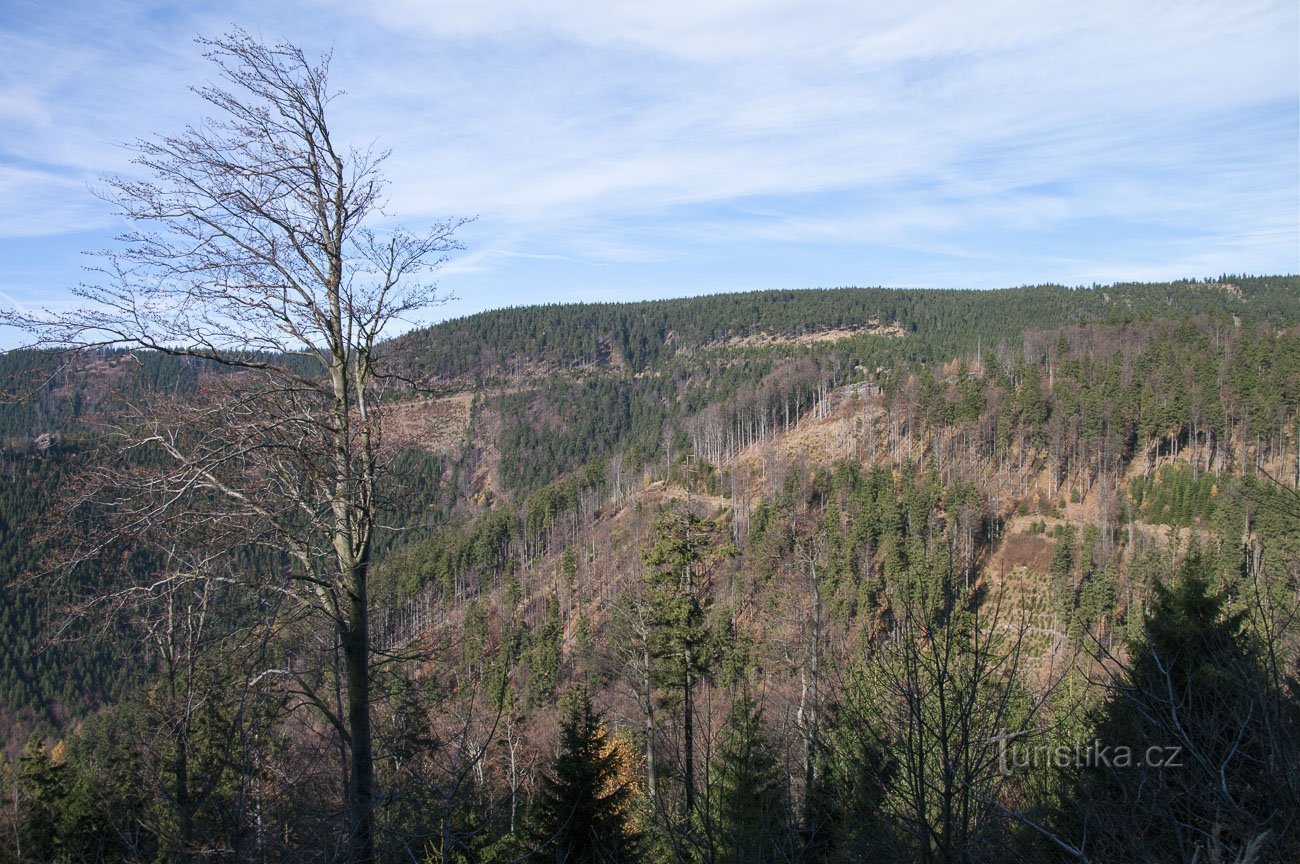 Cresta Šindelná dalla strada per la foresta nazionale ceca