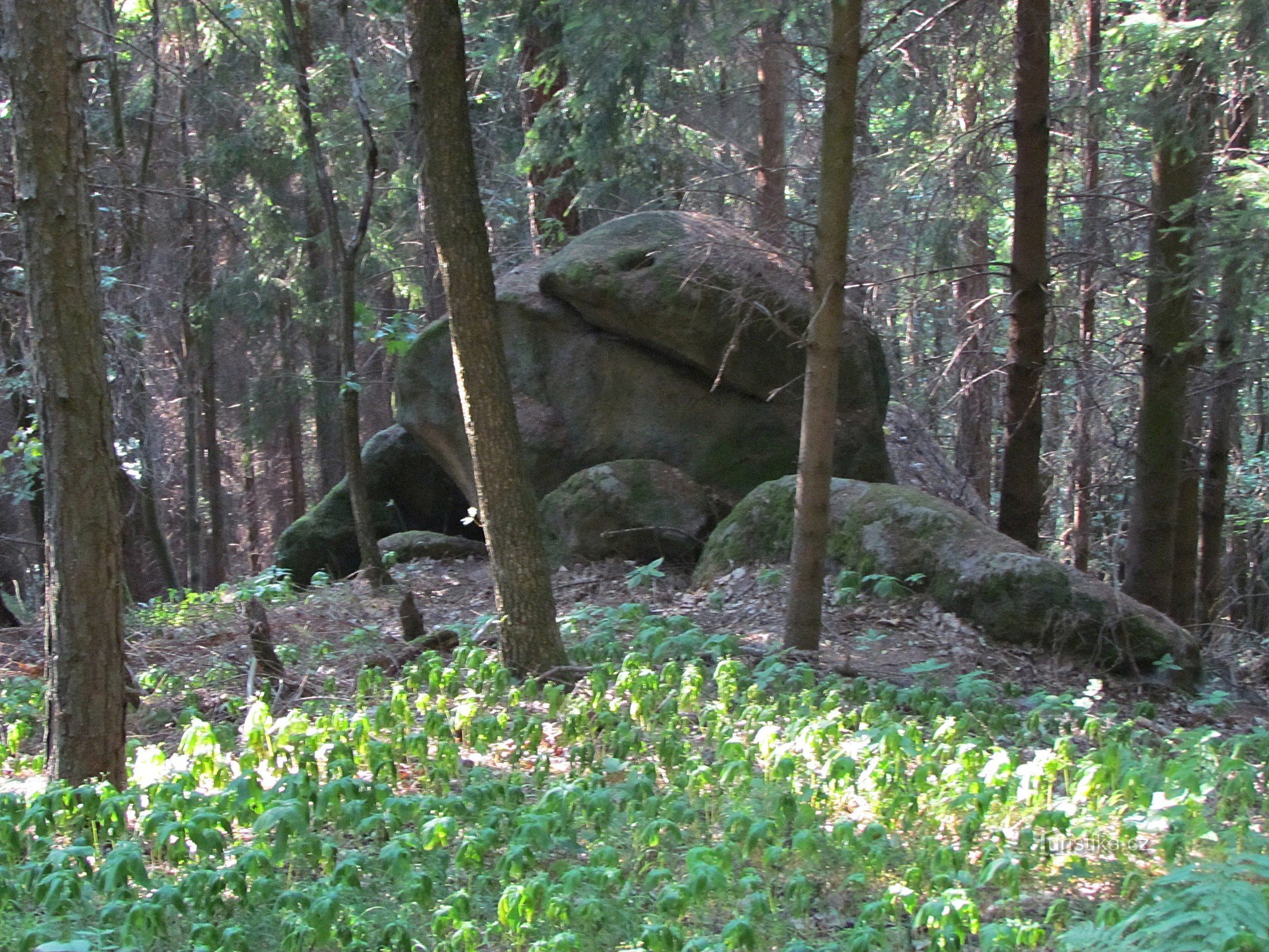 Tanečmooie bergkam onder het kasteel van Lukov