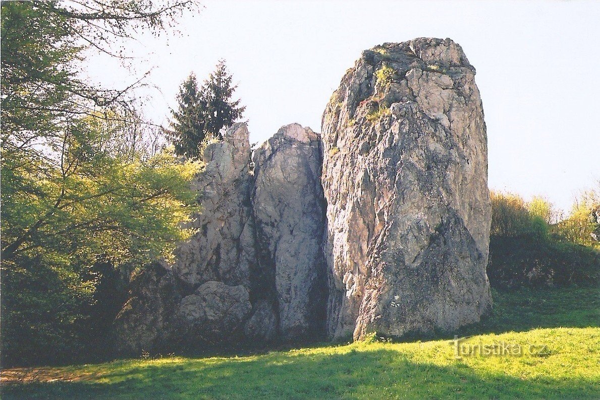 Jakobsmuscheln über dem Sinken