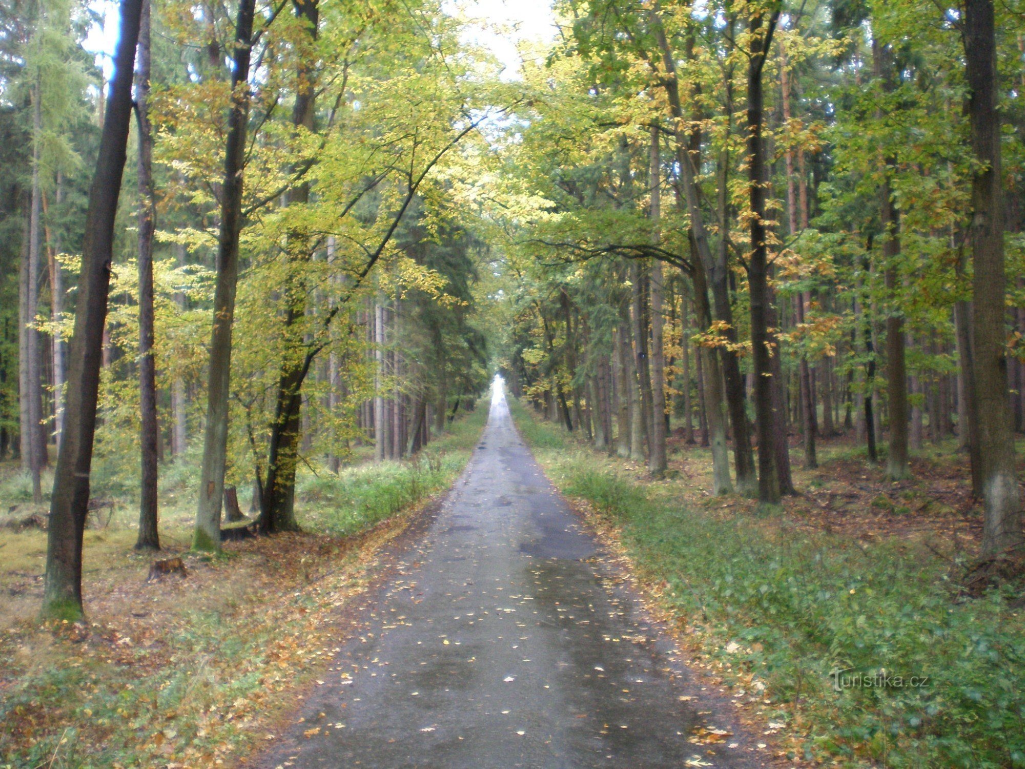 Åsvägen nära Křižatek