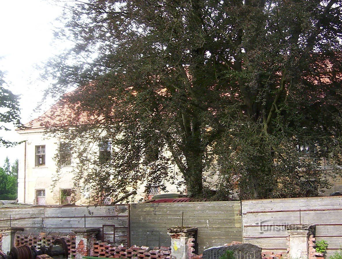 Tombes-château-ancien parc devant le château-Photo : Ulrych Mir.