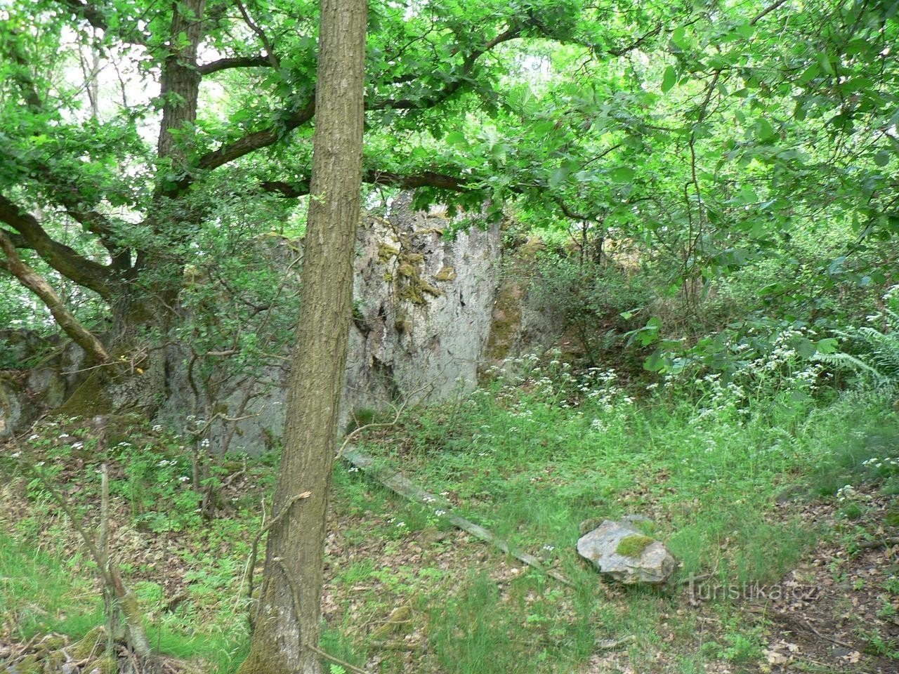 荒い岩、かつての採石場