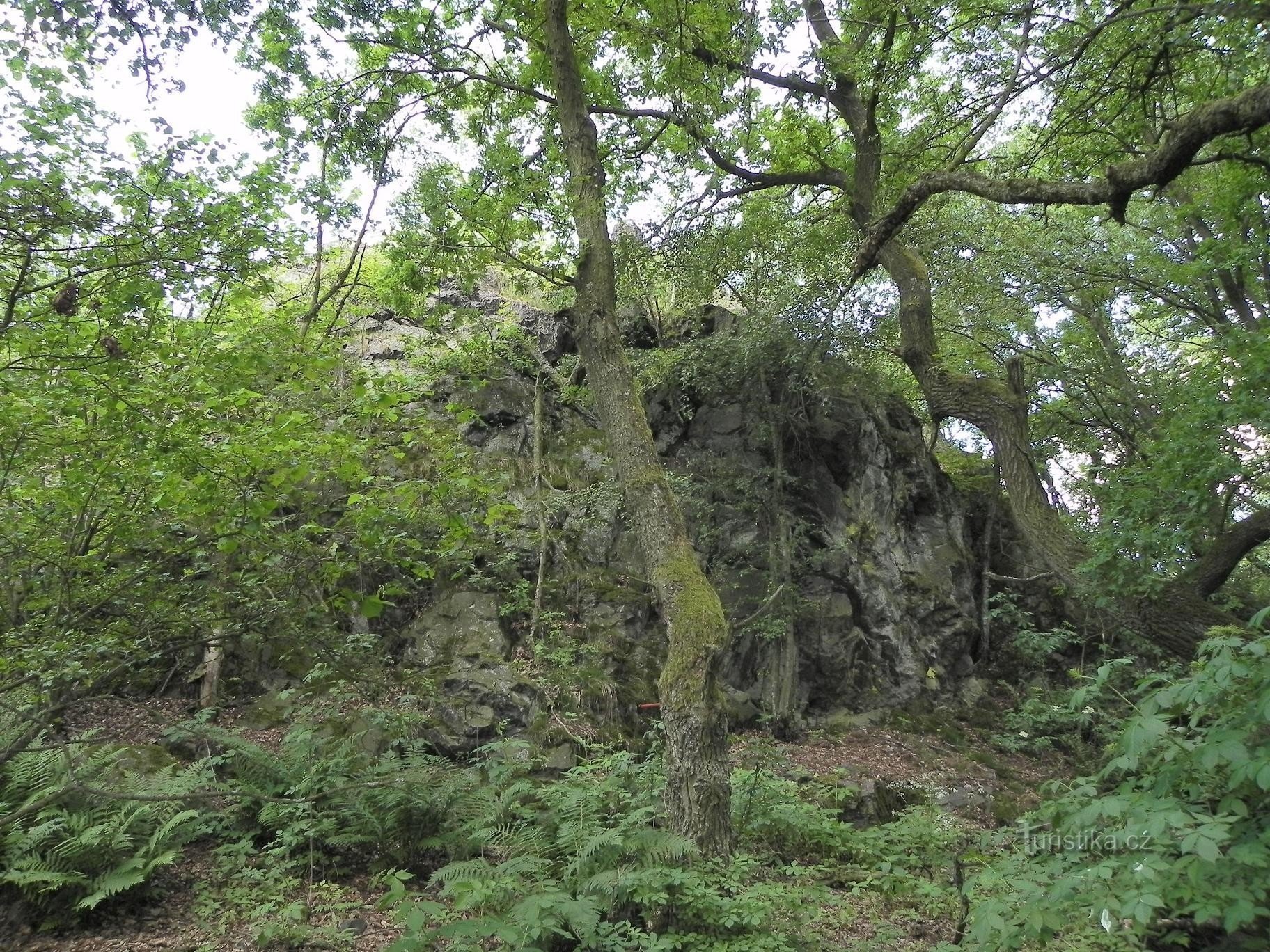 Rauer Fels, Steinbruchwand