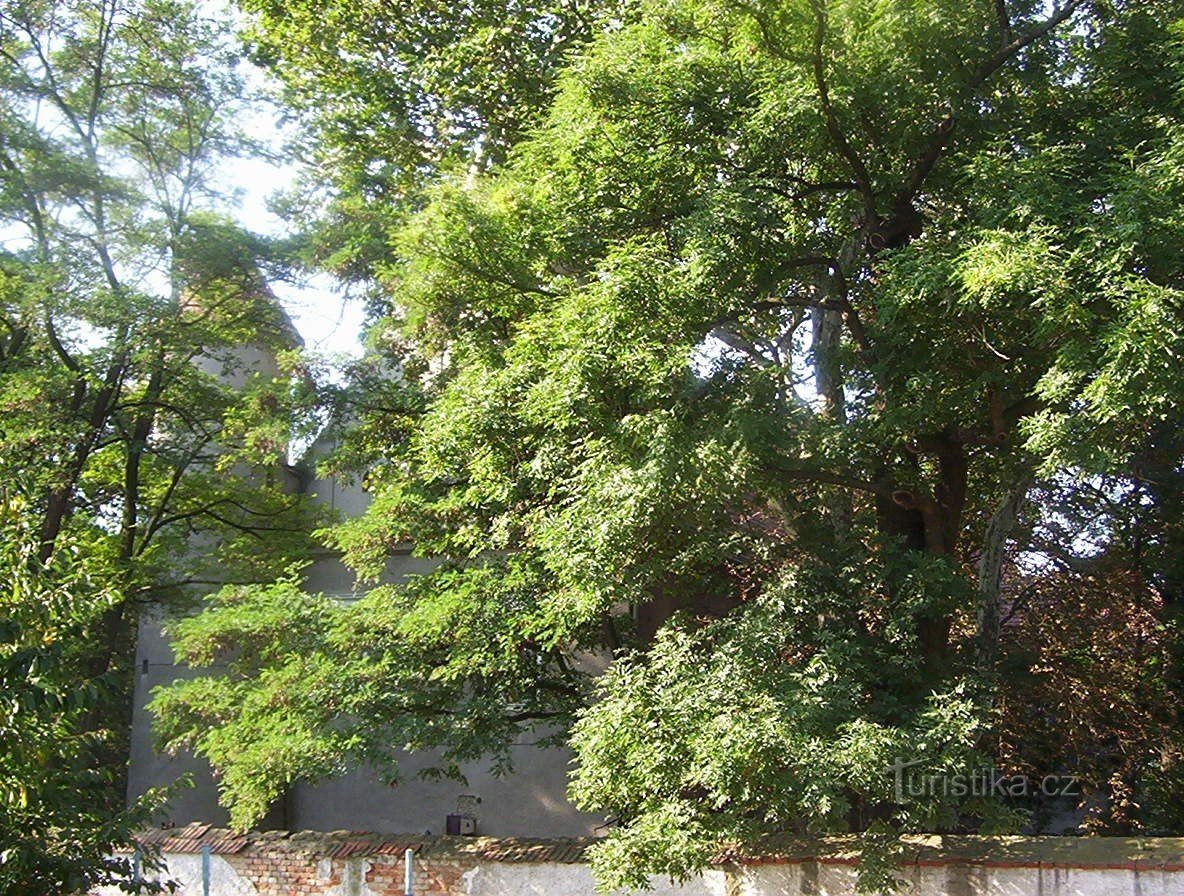 Hrubčice - kasteel met een muur uit het noorden - Foto: Ulrych Mir.