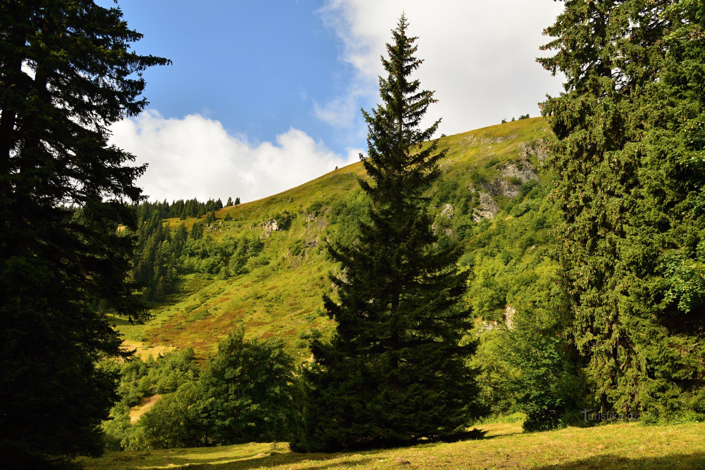 Hrubý Jeseník : Grand bassin