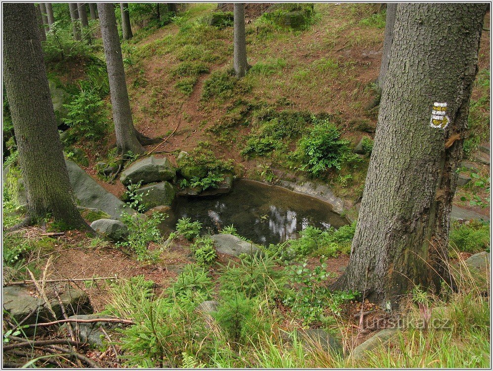 La source d'Hubert, un bassin sous la route