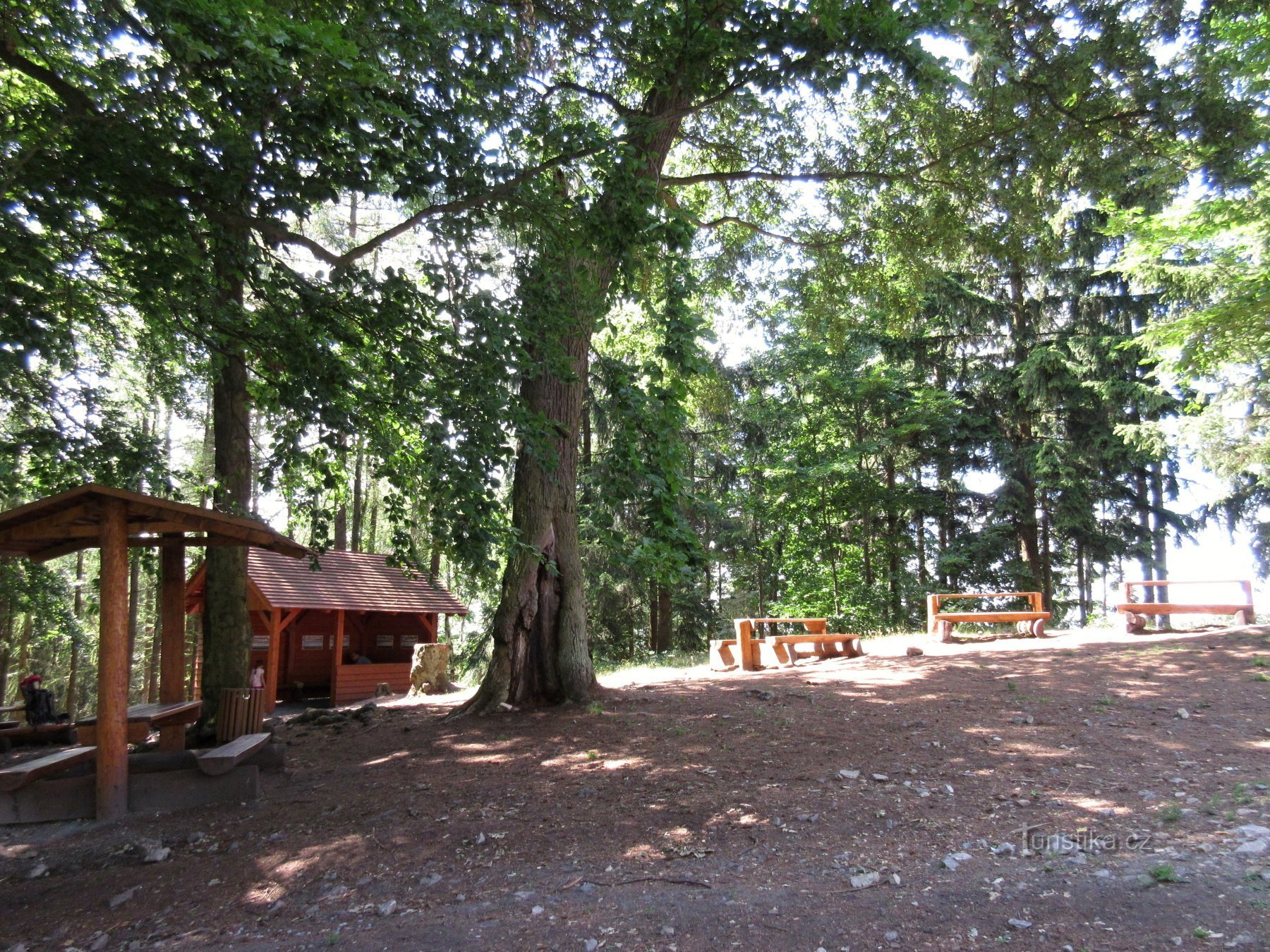 Hudlice - Máminka 观景点和教育步道 Ore Mountain - Hudlický vrch