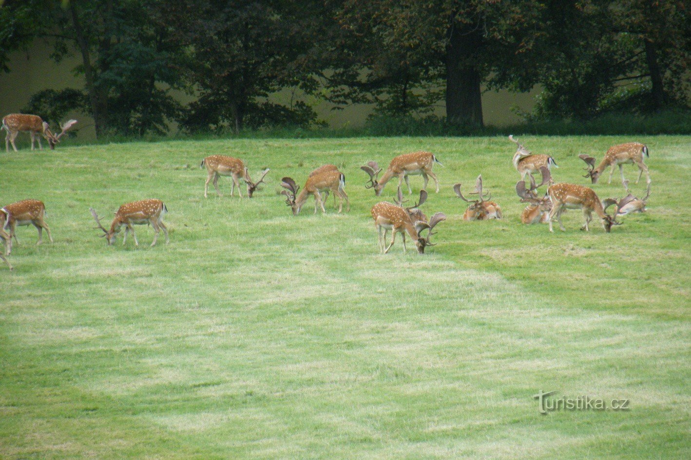 Hukvald naturreservat