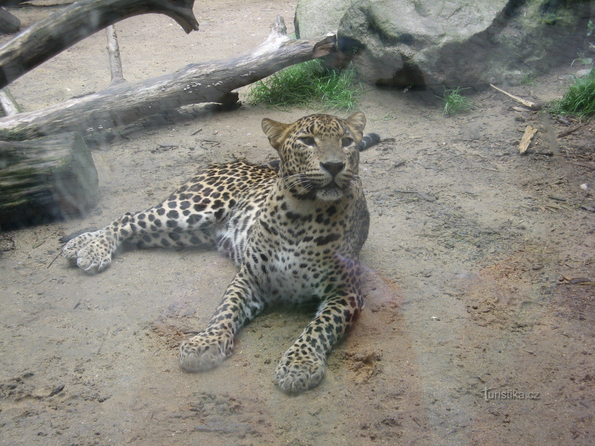 Ură pentru grădina zoologică!