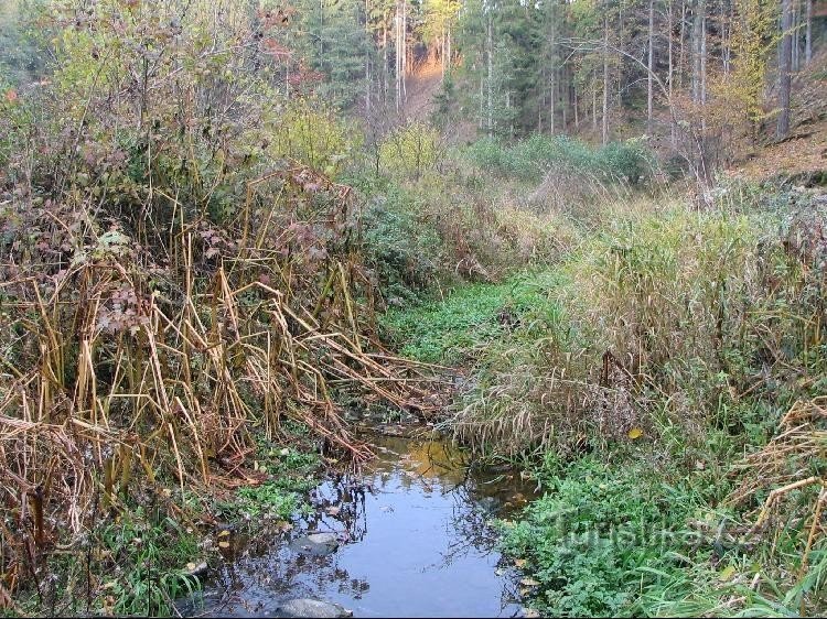 Húsi potok unterhalb von Nový Vrbno