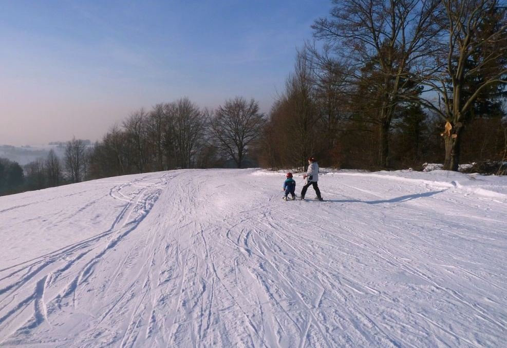 Piste di violino