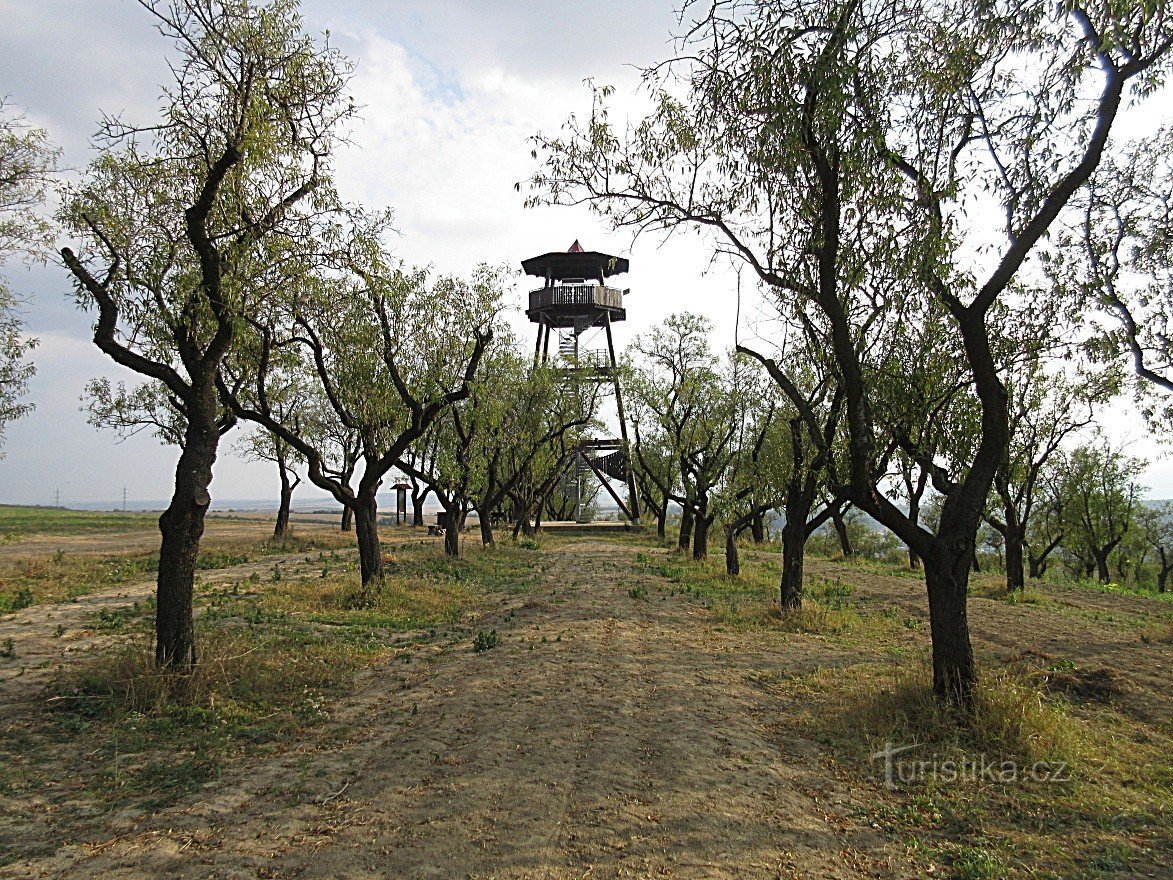 Hustopeče - tour d'observation, sentier nature Mandloňová, brasserie du château