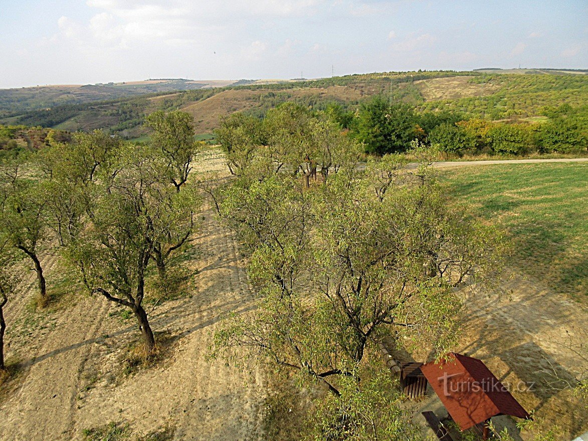 Hustopeče – turn de observație, traseu natural Mandloňová, Berăria Castelului