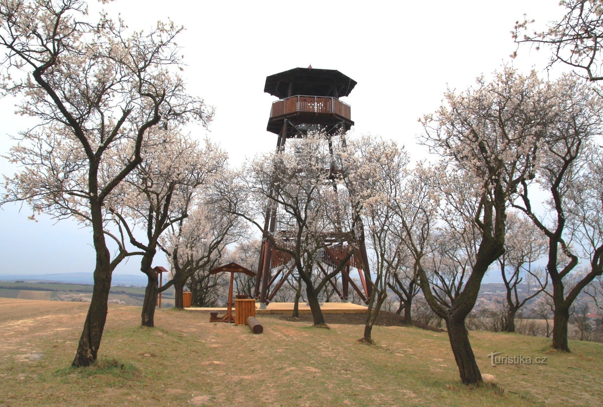 Torre de observação Hustopeč em um pomar de amendoeiras