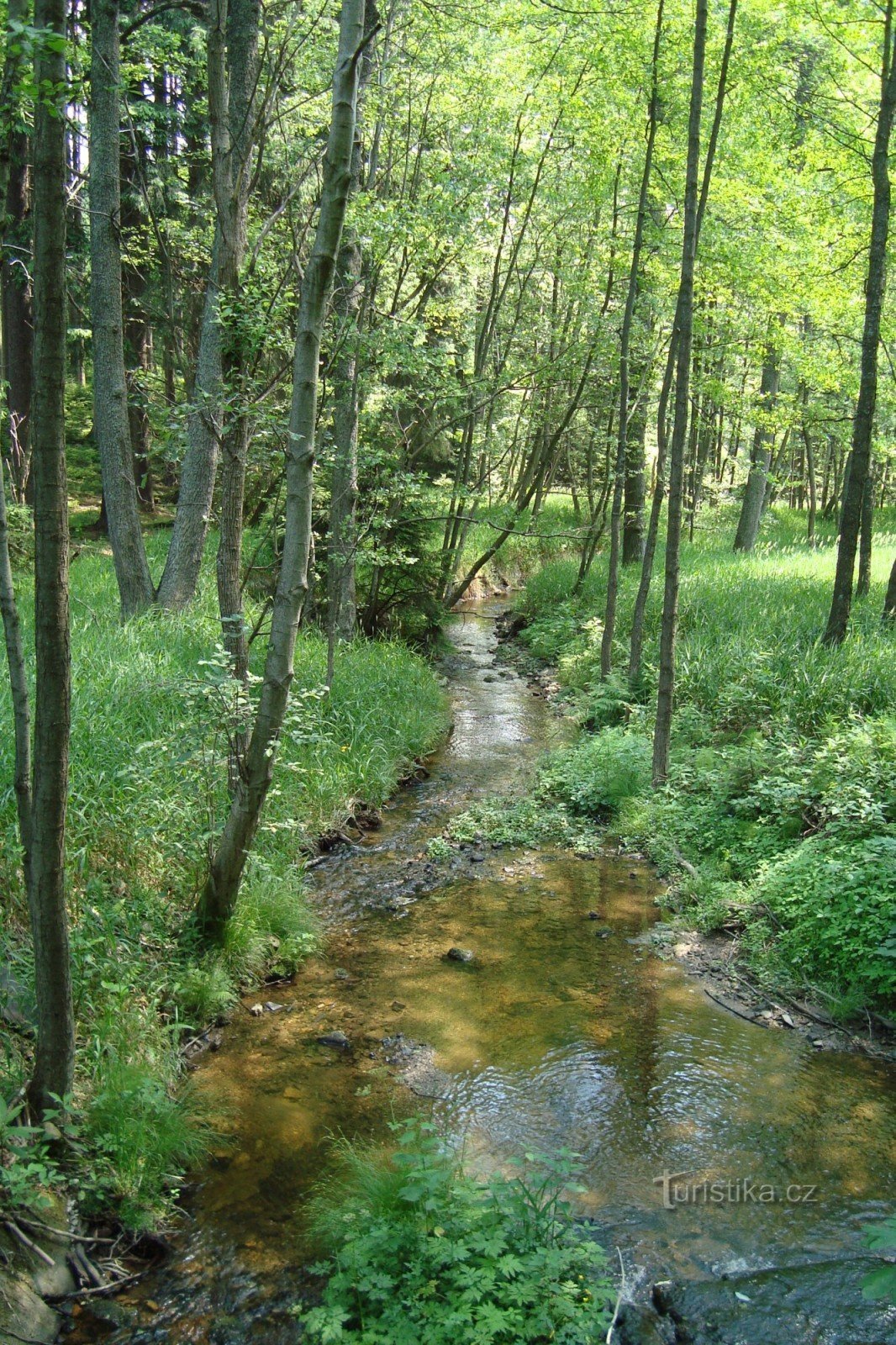 Huťský potok - un monument naturel