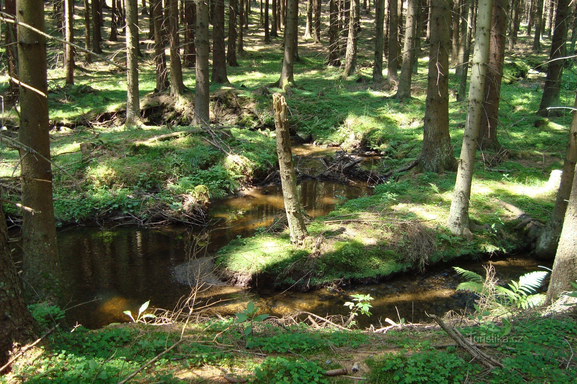Huťský potok - un monument al naturii