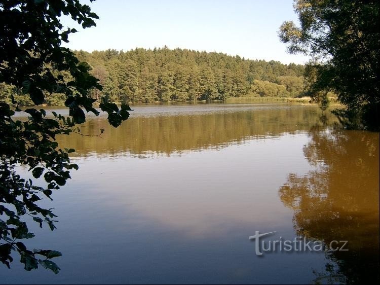 Teich Hvížďalka: Rybník * Wasserfläche: 5.4 ha * Dammhöhe: 9 m * Über dem Meeresspiegel