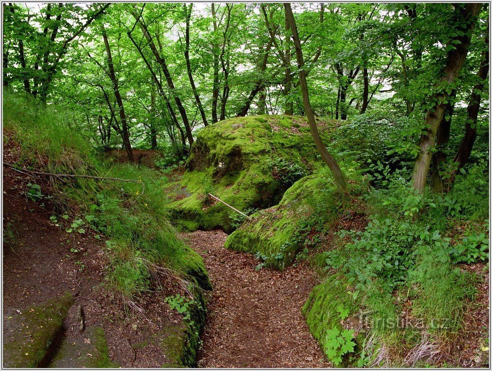 Hýtky, der Weg von Hradsko nach Kokořínského Dol