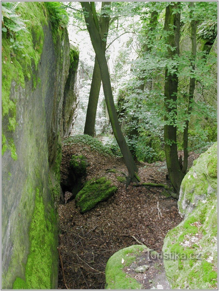 Hýtky, cesta od Hradskog do Kokořínského Dol