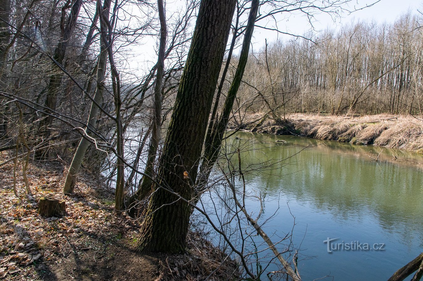 În ciuda secetei relative, în Moravia este destul de multă apă