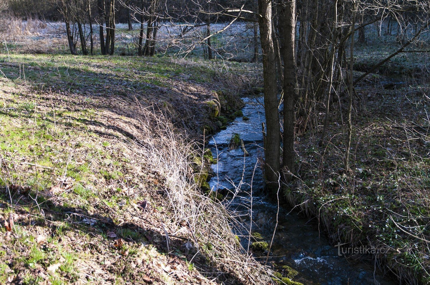 Cotkytle to także blady raj