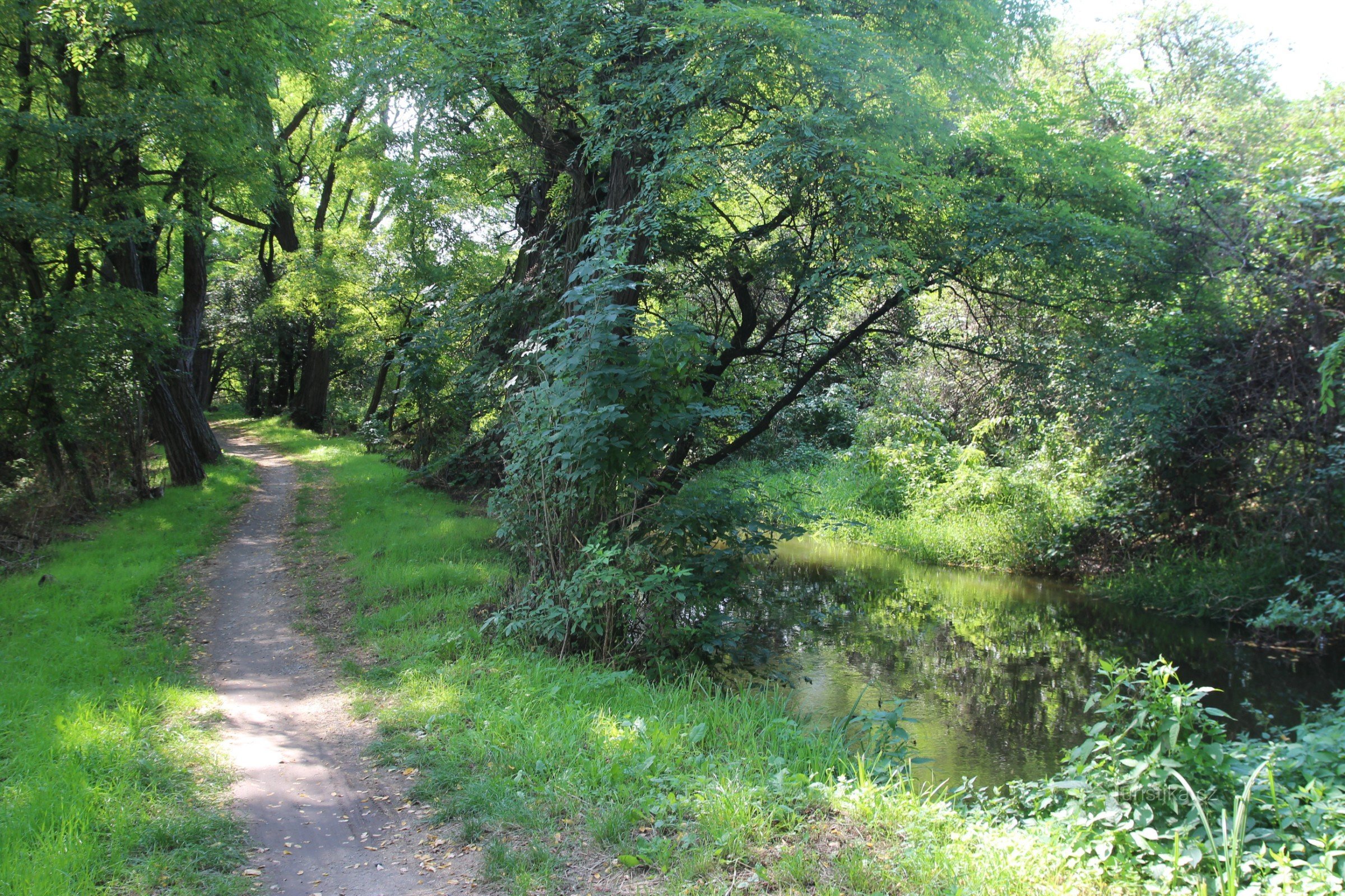 Idyllische Mlýnský nahon met voetpad van de reisroute