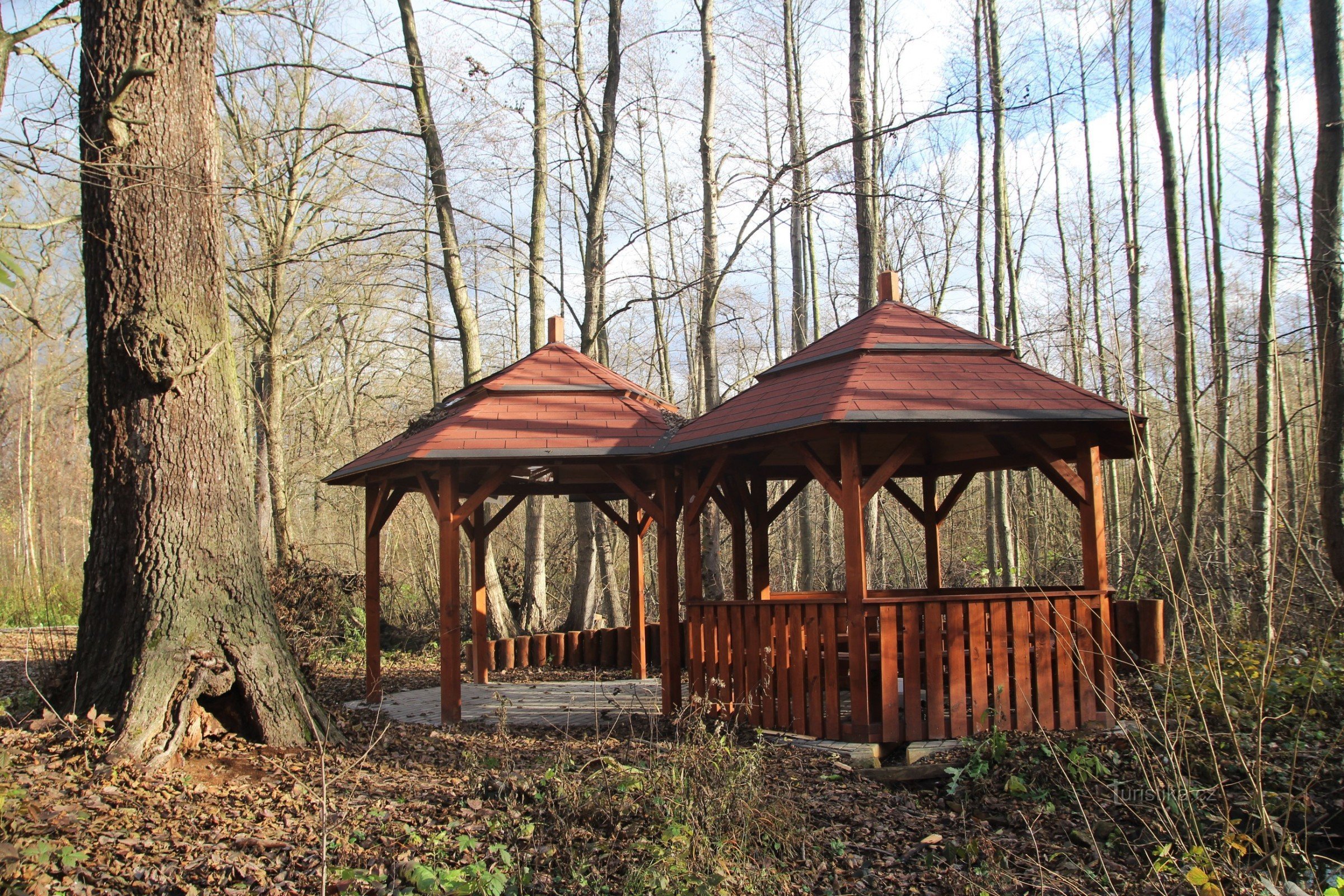 Ilčička - forest spring