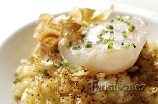 Illustratiefoto: Jacobsschelpen met risotto; bron foto: Grund Restaurant