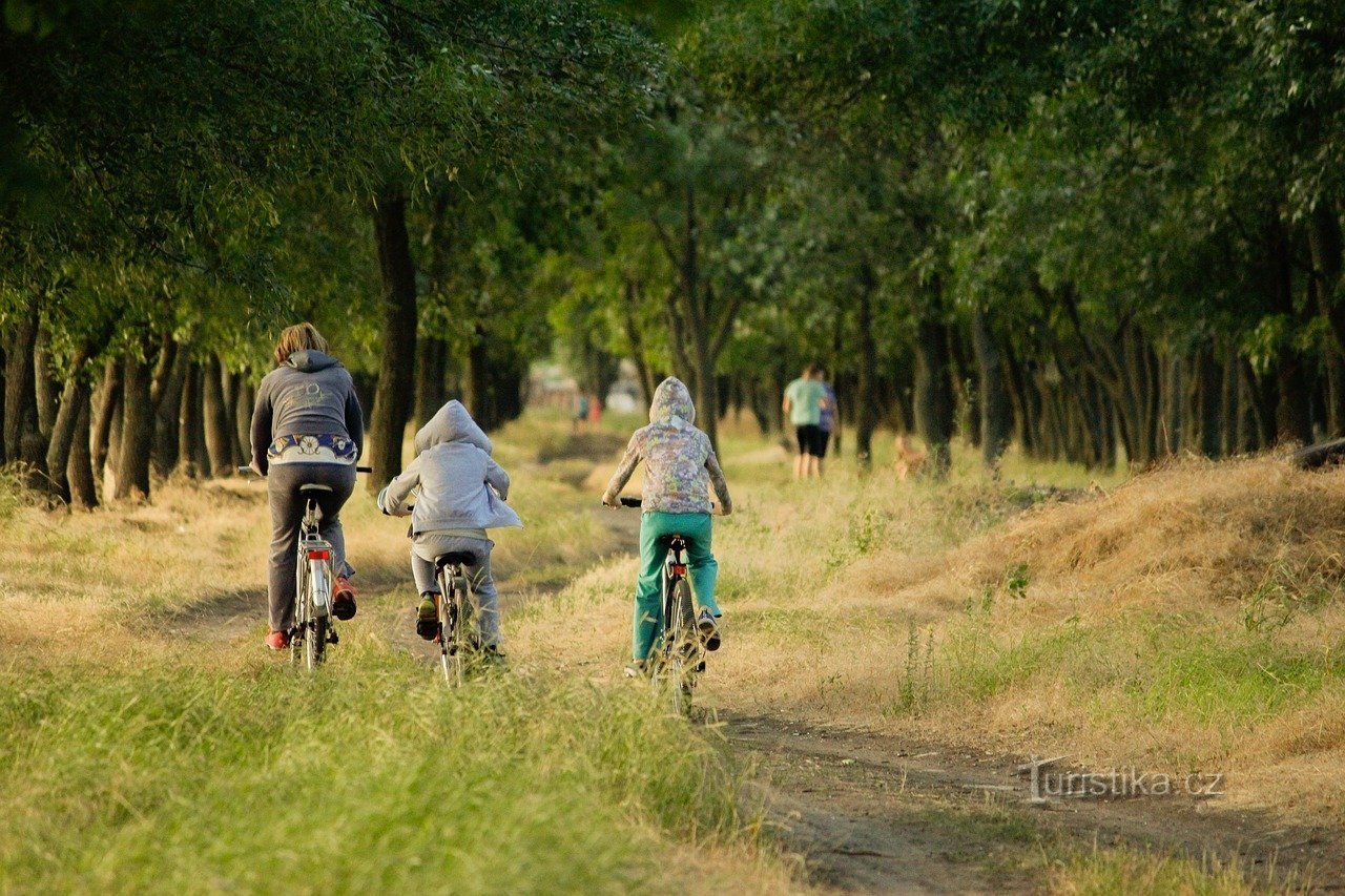 ілюстративне фото, джерело: placla.cz