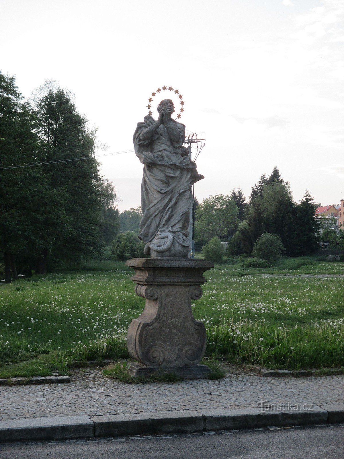 immaculata