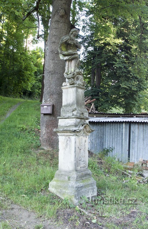 Immaculata v Hynčině